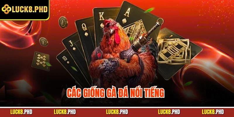 Các giống gà đá nổi tiếng