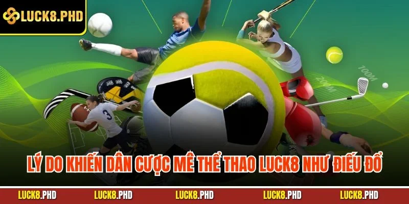 Lý do khiến dân cược mê thể thao LUCK8 như điếu đổ