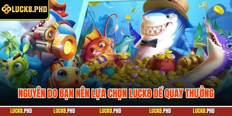 Nguyên do bạn nên lựa chọn Luck8 để quay thưởng