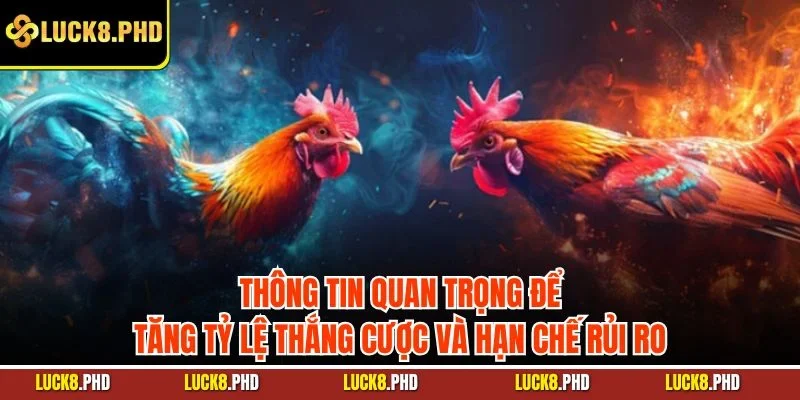 Thông tin quan trọng để tăng tỷ lệ thắng cược và hạn chế rủi ro
