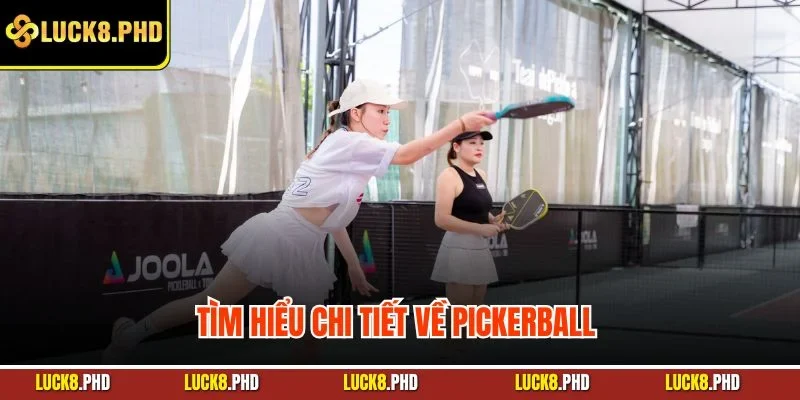 Tìm hiểu chi tiết về Pickerball