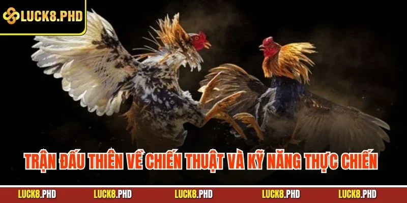 Trận đấu thiên về chiến thuật và kỹ năng thực chiến
